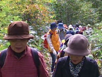 登山・ハイキング